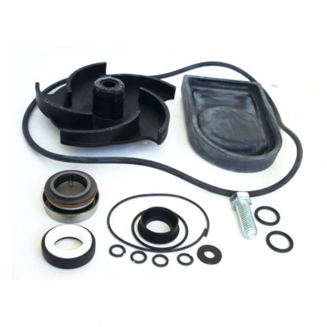 kit-reparacion-bomba-poly-2-c-turbina-epdm-12000a